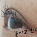 붙이고 반하다