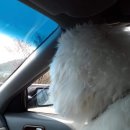 무지개다리 이미지