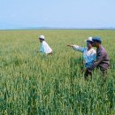 추월농장 이미지