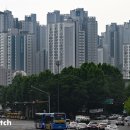 뉴올리브숲 이미지