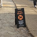 노원골유아숲 이미지