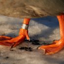 모바일신분증 발급&관리 이미지