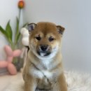 목욕의 정석 이미지