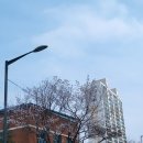 늘품길학원 이미지