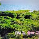 세계테마기행 여경래 오프로드 대장정 마방길 윈난성 차마고도 1 이미지