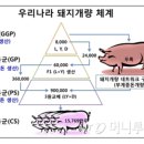 반상회푸드