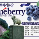 백양농장 이미지