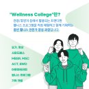 웰니스9 이미지