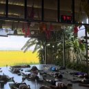 옴펙토리 이미지