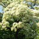 양포초등학교 이미지