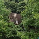 정솔희 카카오 검색결과