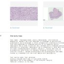 이지동물병원 이미지