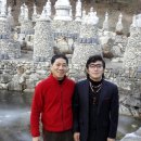 도선사 Daum카페