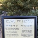 이곡마을회관 | 대구 팔공산 카페 맛집 로에베 플로레스 ㅣ 공간이 예쁜 브런치 카페
