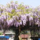 동강2리 이미지