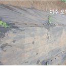 여주-0616 네이버블로그