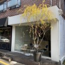 더니커피 | 연희동 더니커피 Dawny Coffee 드립 커피 내돈내먹 추천 후기