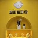 퍼피트리 애견유치원&호텔 | 광주 애견유치원 추천 퍼피토피아 쌍촌점, 광주 애견호텔 호텔링 맡겨보고 온 솔직 후기