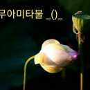 도연식당 - 해남군 | 도연식당