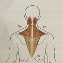 포인트153 이미지