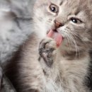 하늘세탁 이미지