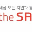 더샘인터내셔날 이미지