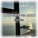 돌고래 펜션 | 아이와 즐기는 강릉 바다뷰, 사천진해변 돌고래 스파 펜션