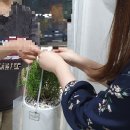 로즈마리 화원 이미지