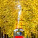 모아종합카센타 | 칠곡사랑카드 사용처 총정리 10% 적립