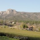 강진허브 이미지