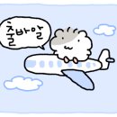 노루목 68 이미지