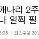 꽃그린공인중개사사무소 이미지