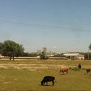 타슈켄트 -씨티 이미지