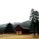 법주사 - 경상북도 군위군 | 법주사