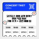 코르티스 앨범 살까 말까? 팬이 직접 써본 구매 후기 + 공연 예매 팁