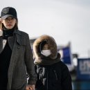 영화 미쓰백 카카오 검색결과