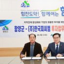 피씨엠 이미지