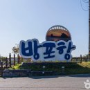 바다햇살고운집 티스토리