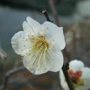 월석농장 이미지