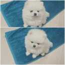 Y3 복싱클럽 이미지