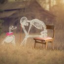 아름다운동물병원 이미지