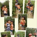 기두농장 이미지