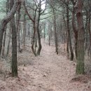 통명산 이미지