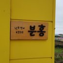 나무앤씨 키즈 이미지