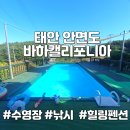 충남 태안 안면도펜션 바하캘리포니아 수영장 있는 숙소, 낚시배운영 바다낚시 팬션, 스파 바베큐장...