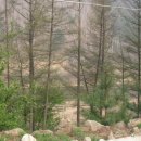 평창강펜션2 이미지