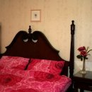 이디살래 이미지