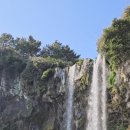 위미그라스 이미지