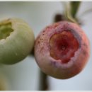 칠갑산농원 이미지