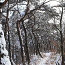 학림동 Daum카페